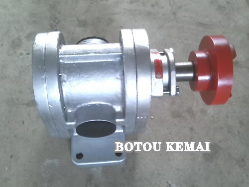 2CY Gear Pump SS 304 SS 316