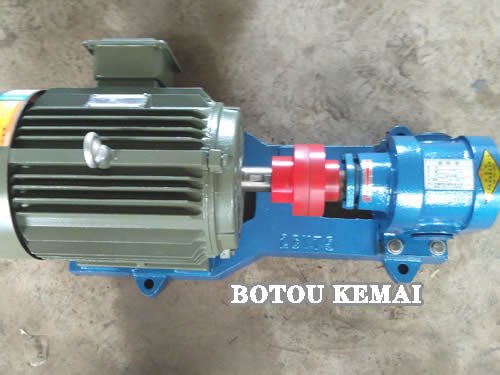 2CY Gear Pump With Motor