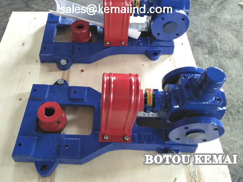 Circular arc gear pump structure and installation