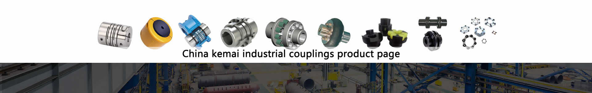 Coupling Manufacturer In China