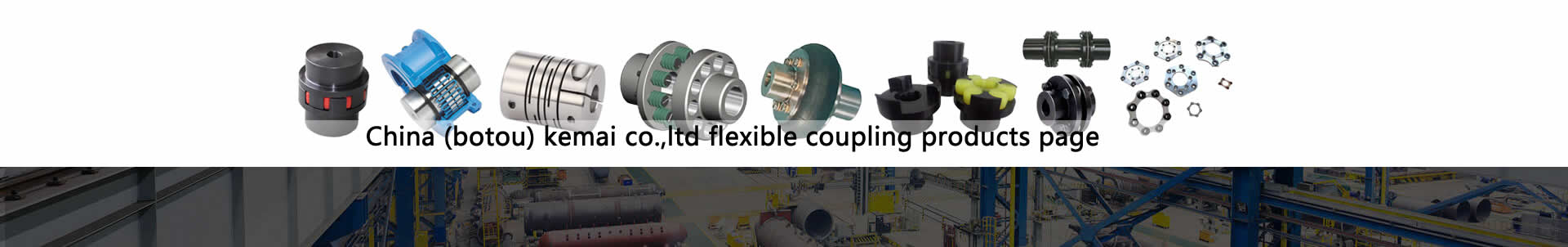 Flexible Coupling Manufacturer In China