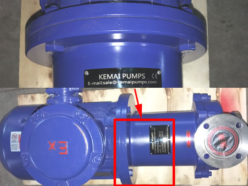 SS Magnetic Pump