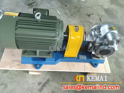 Stainless steel gear oil pump