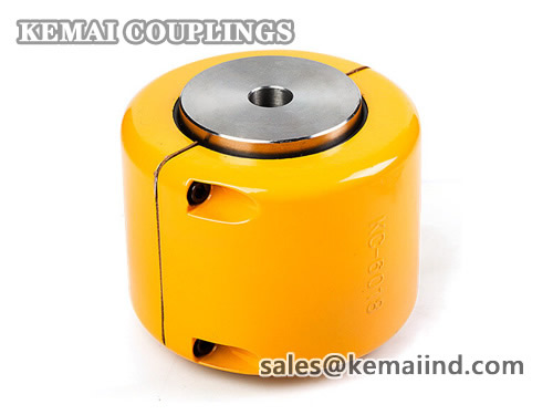 Roller Chain Coupling