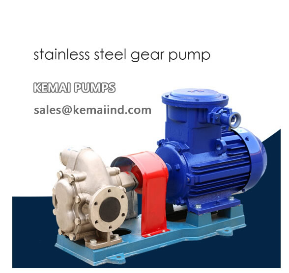 Stainless Steel Gear Pump
