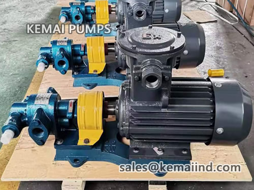 Gear Pump With Motor