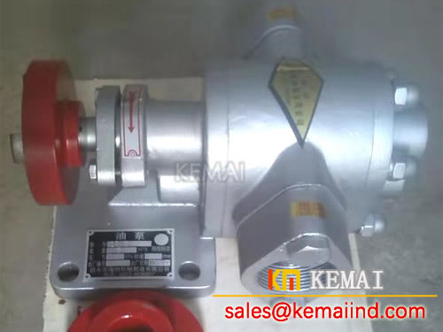 Stainless Steel Rotary Gear Pump